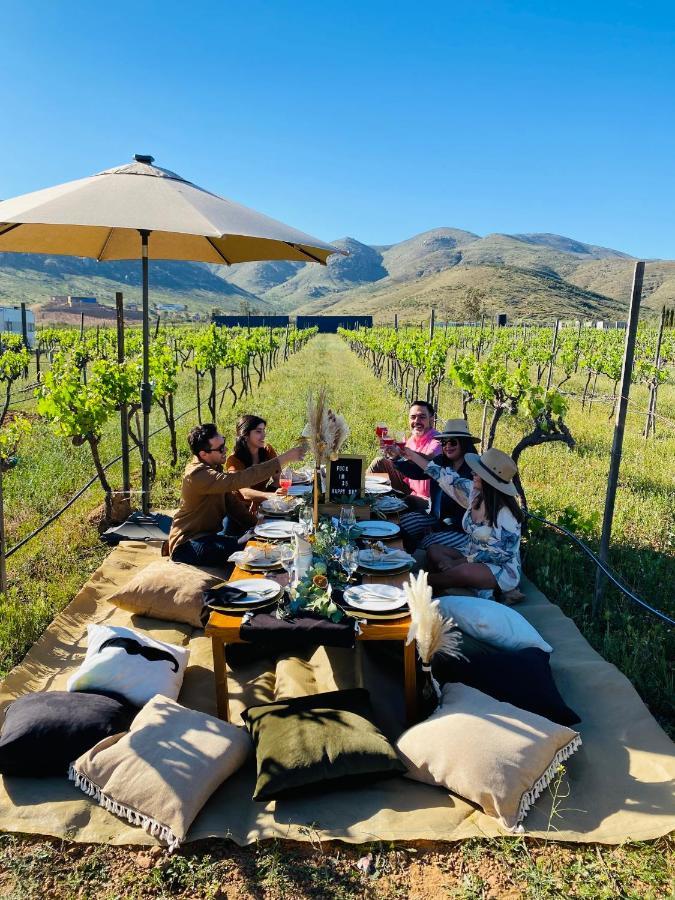 The Pangea Valle De Guadalupe Hotel Exterior photo