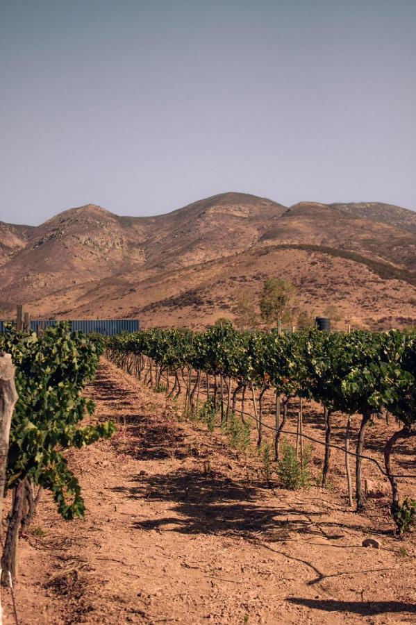 The Pangea Valle De Guadalupe Exterior photo