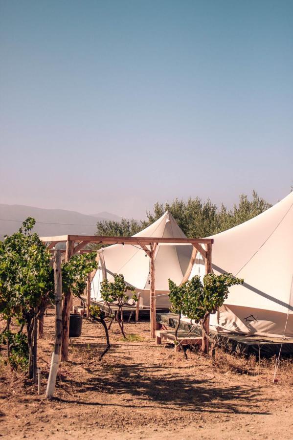The Pangea Valle De Guadalupe Exterior photo